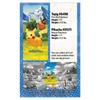 Pokemon TCG: Mega Evolution - Ascended Heroes - Mini Tin - Pikachu & Tepig