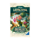 Disney Lorcana Trading Card Game: Archazia's Island - Booster Pack