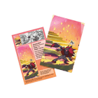 Pokemon TCG: Shrouded Fable Mini Tin - Zoroark & Poltchageist