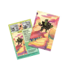 Pokemon TCG: Shrouded Fable Mini Tin - Okidogi