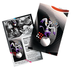 Pokemon TCG: Black Bolt & White Flare Mini Tin - Mienshao & Klinklang