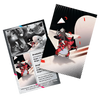 Pokemon TCG: Black Bolt & White Flare Mini Tin - Krookodile & Drilbur