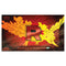 Pokemon TCG - Team Rocket's Moltres ex - Ultra Premium Collection